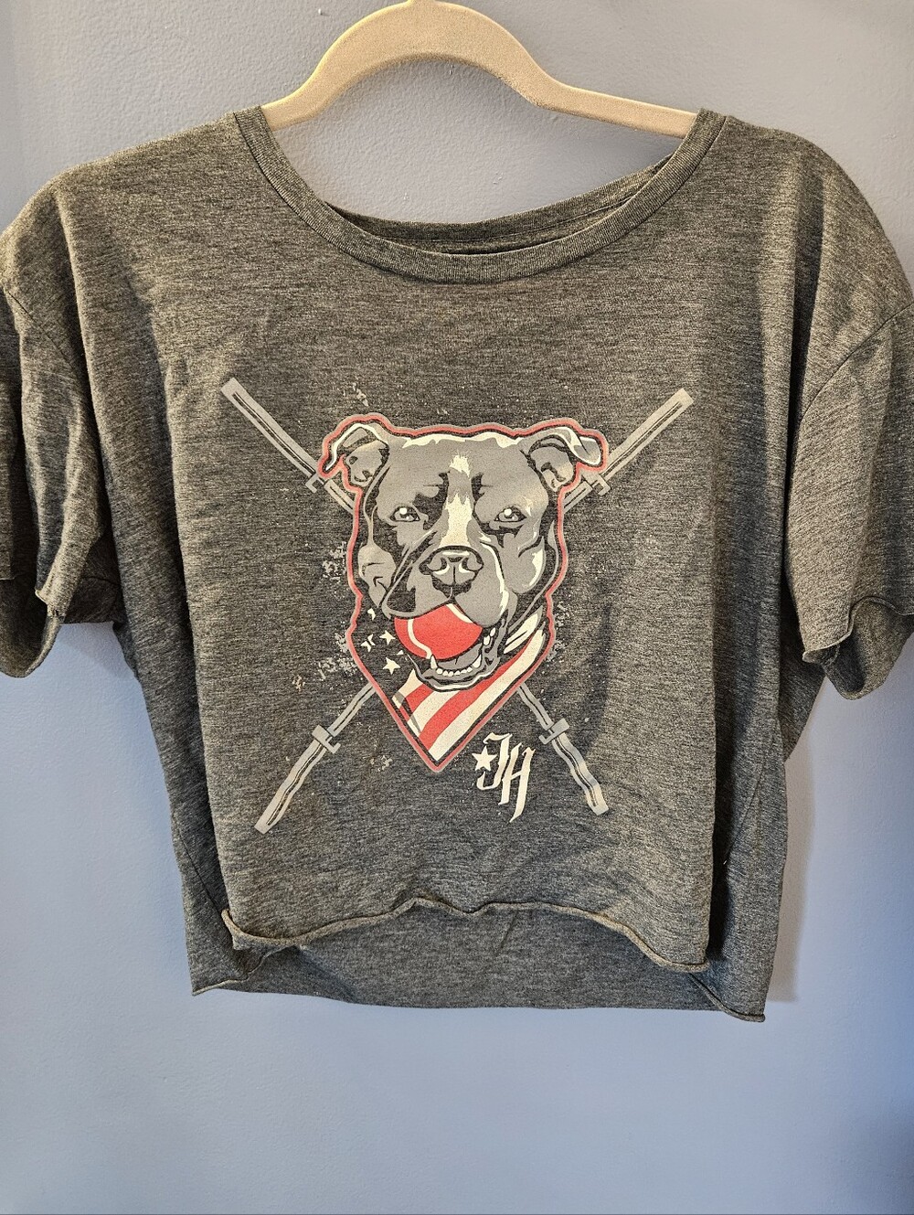 Jekyll hyde Apparel Cropped Tee